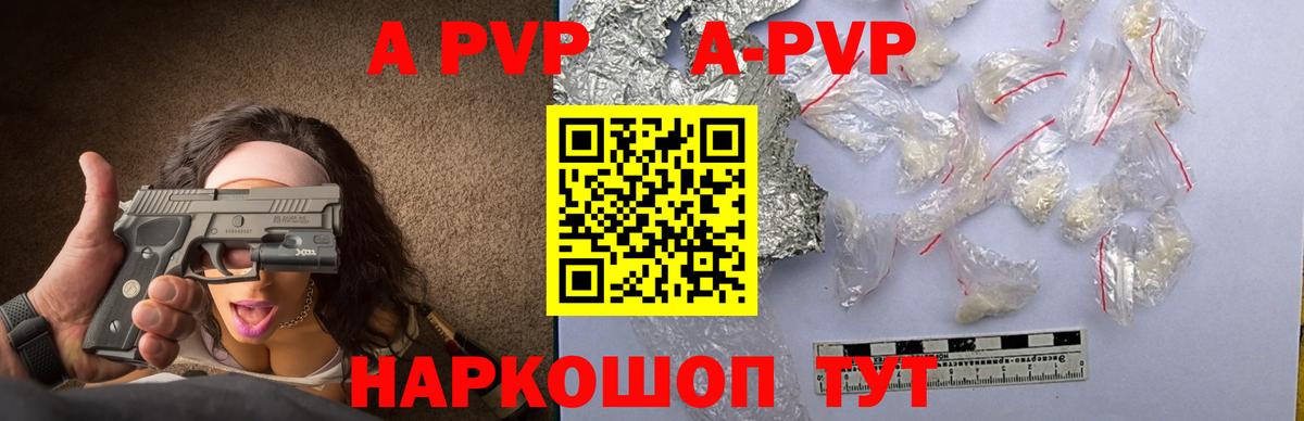 A PVP СК Бердск