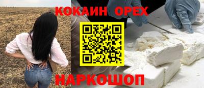гидра Тара