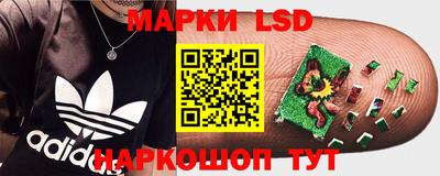 гидра Тара