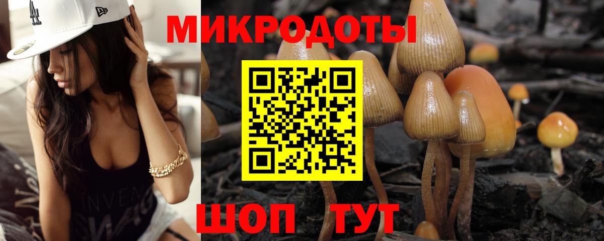 Галлюциногенные грибы мицелий  Вход с VPN  Бердск 