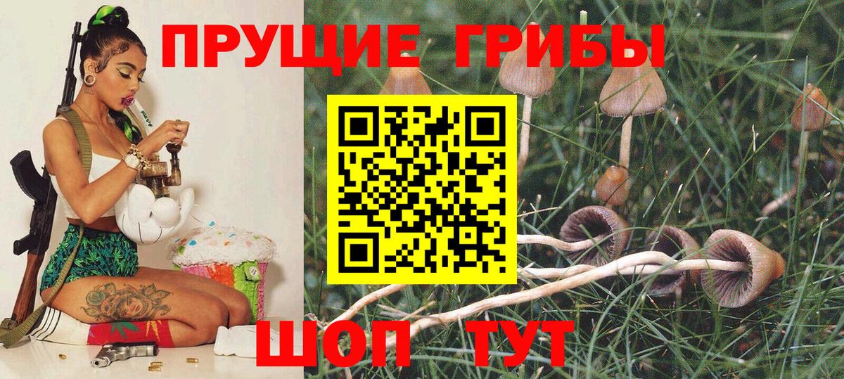 Псилоцибиновые грибы мухоморы Бердск